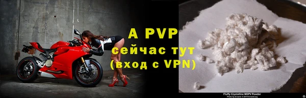 стаф Усинск