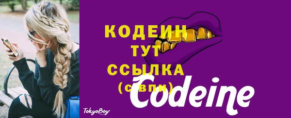 стаф Усинск