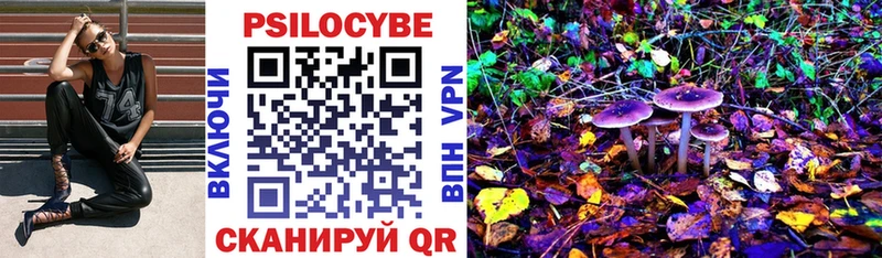 где можно купить Хабаровск Галлюциногенные грибы мицелий