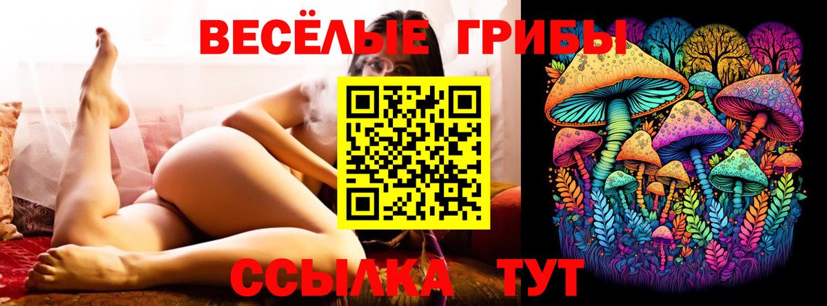 Хабаровск  купить наркоту  Вход с VPN  Галлюциногенные грибы прущие грибы 